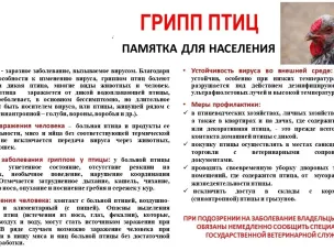12 октября на территории городского округа город Выкса будут проводиться командно-штабные учения государственной ветеринарной службы Нижегородской области по ликвидации очага гриппа птиц